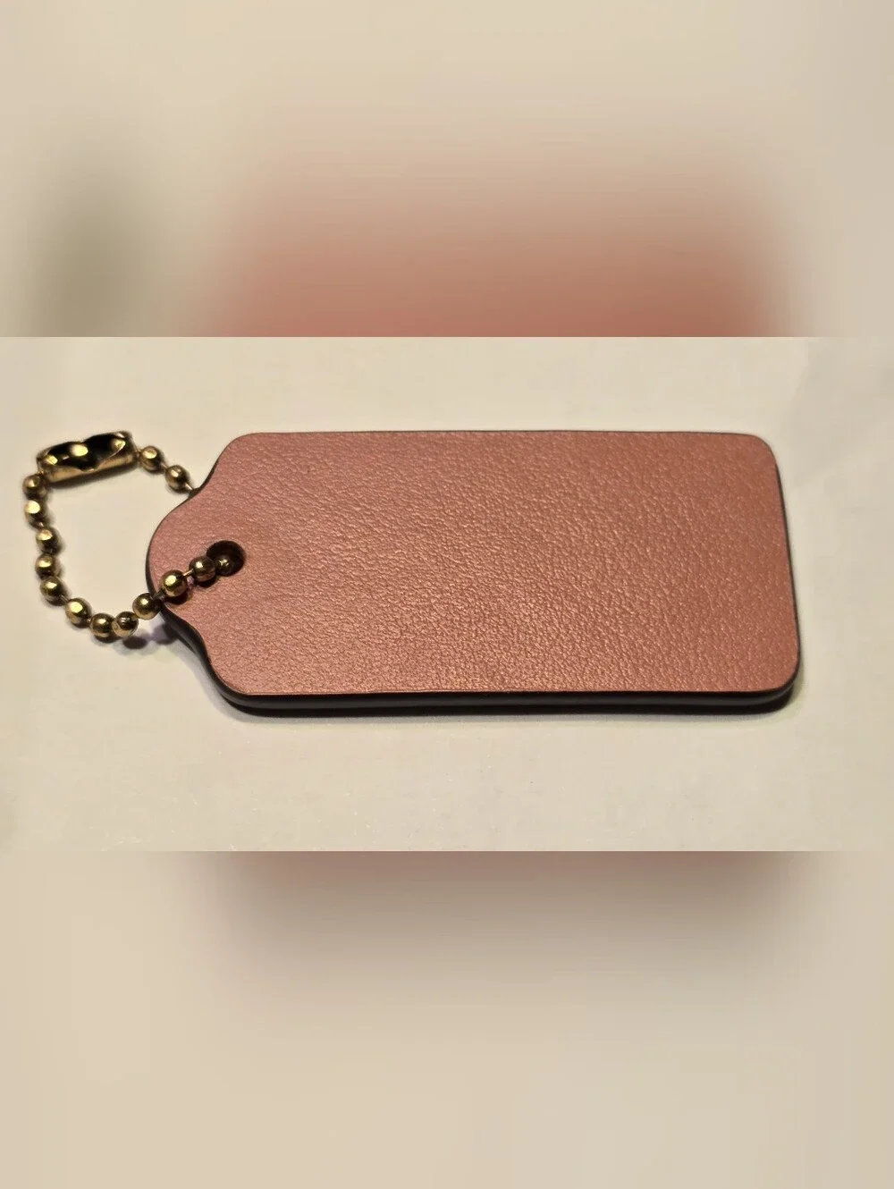 Coach Keychain